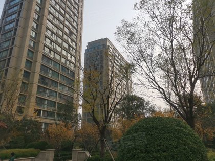 商河人口碑_商河老豆腐