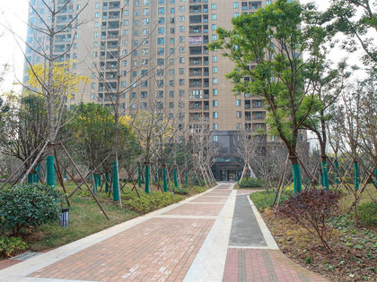 百瑞景人口_人口普查(2)