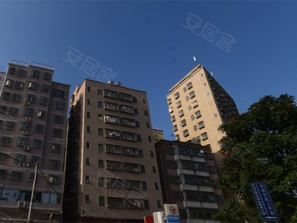 光雅园商住区8号楼,光雅园商住区8号 深圳光雅园商住区8号楼二手房