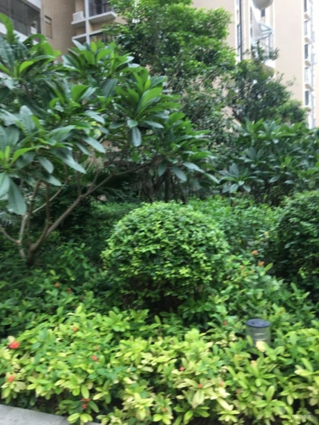 楼村花园(一期)3室2厅1卫83㎡南北97万