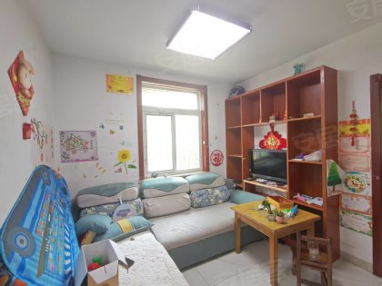 皖江小区软包沙发房东自住房出租干湿分离卫生间近地铁口
