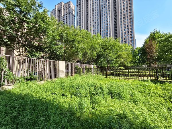 实图实拍金茂悦精装四房两卫_一楼带大院子_底复_四叶草户型