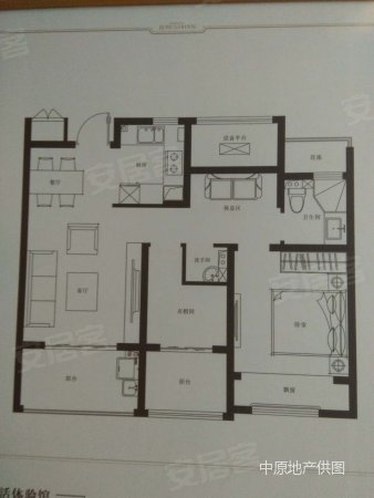 JavaScript确定当前浏览器的Flash版本