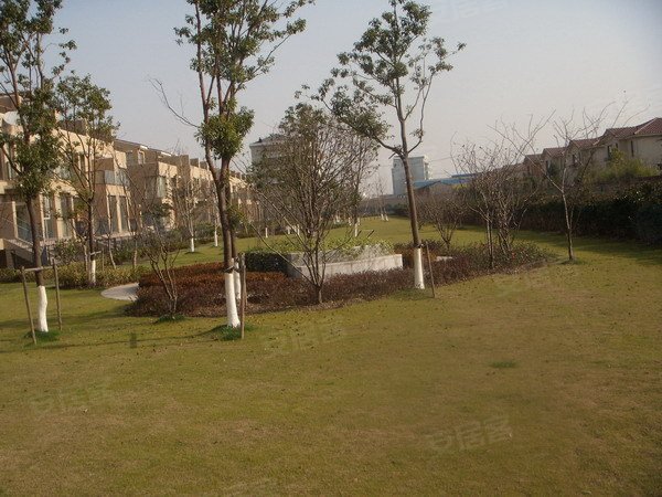 大连万科新都会墓地图片