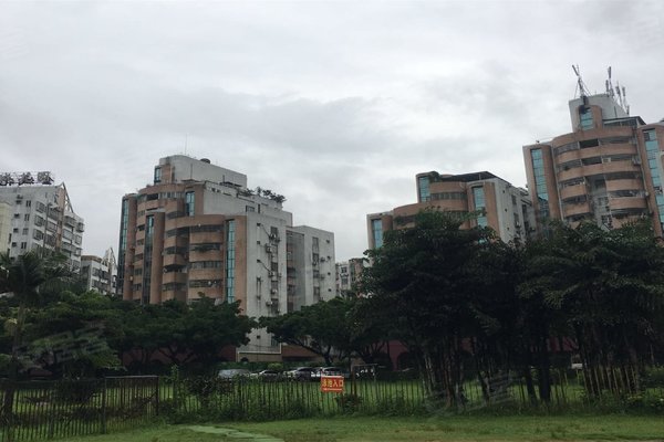 陆丰金城花园怎么样,陆丰金城花园怎么样啊-第4张图片-朋成家居生活_生活家 陆丰金城花园怎么样,陆丰金城花园怎么样啊-第4张图片-朋成家居生活_生活家