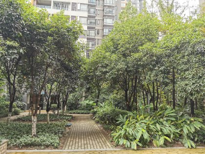 鲁能星城七街区