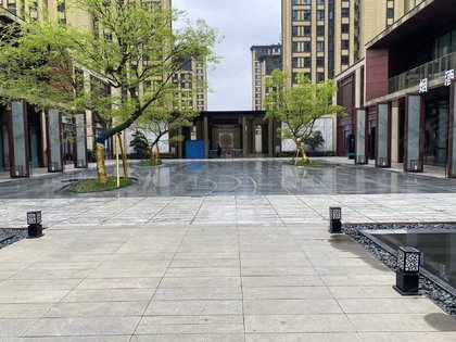 光谷澎湃城奥山府