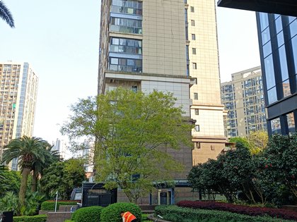 保利金香槟