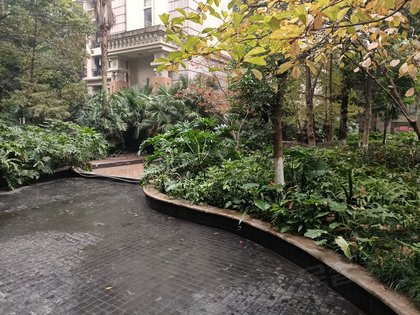 奥园康城(a区),黄杨路10号 - 重庆奥园康城(a区)二手房,租房,房价