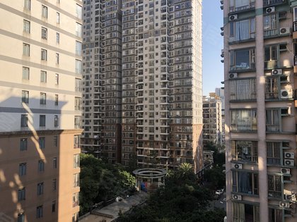 广州骏景花园人口_广州各区人口图