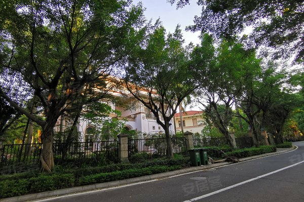600x400c.jpg?t=1