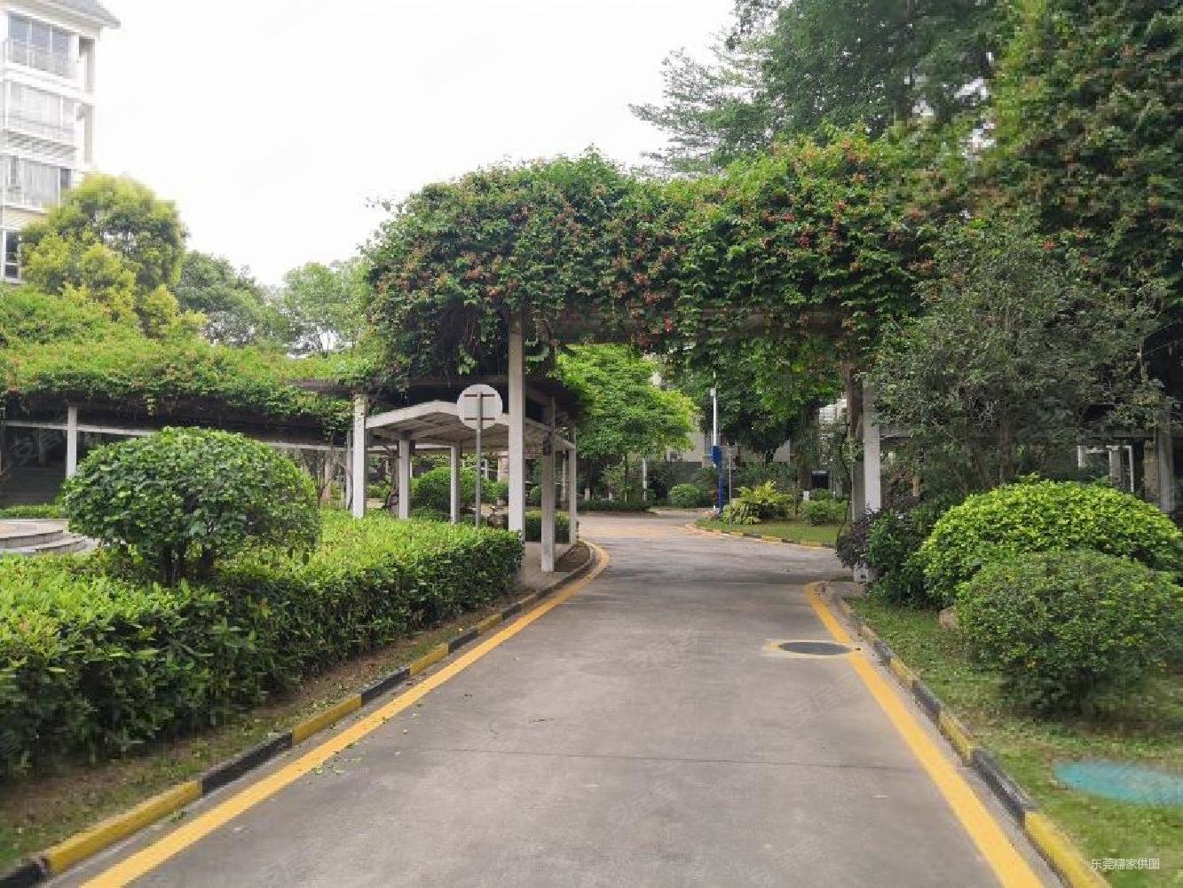 松湖花园