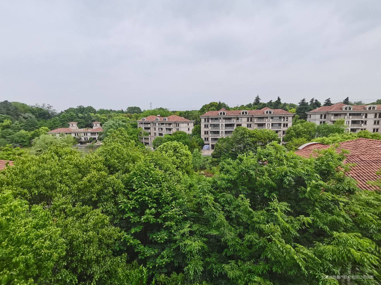 老山脚下独栋别墅珍珠泉旁珍珠泉9号院子400平湖景房,明发珍珠泉9号
