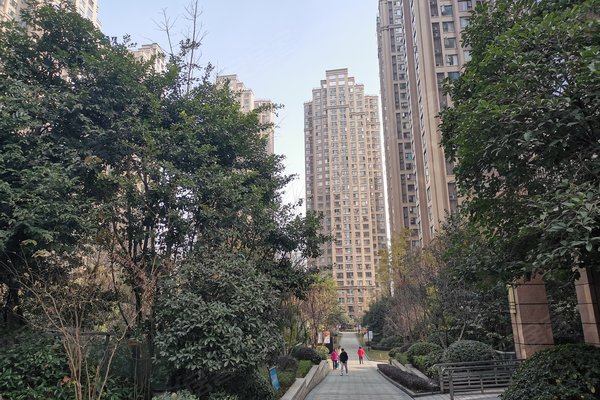南湖逸家人口_南湖逸家楼栋分布图(3)