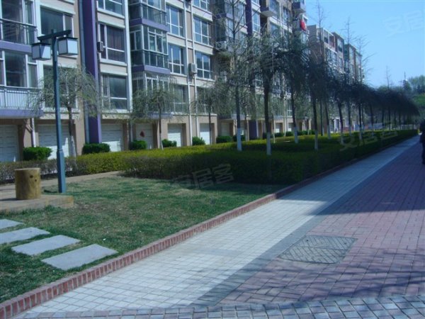 600x600.jpg