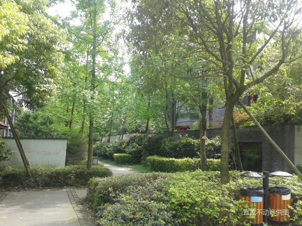 宜家上善栖一期别墅视野,结构通透,带地下室,花空双拼别墅挑内部图片