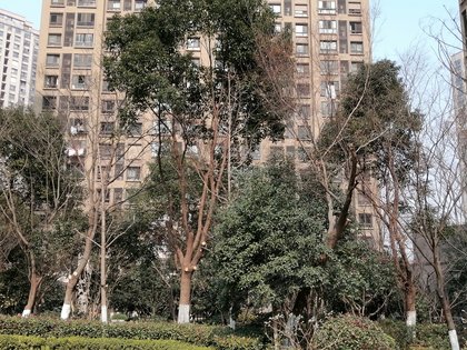 好不好_中介房产经纪人:季红英对万科金域缇香(东区)的评价-无锡安居