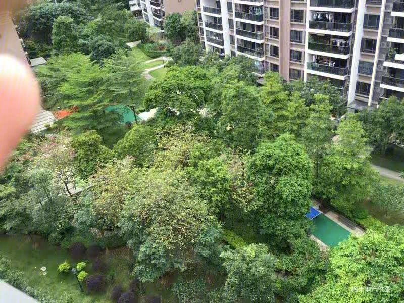 广州房产网>广州二手房>黄埔二手房>萝岗二手房>新福港鼎峰>800_600