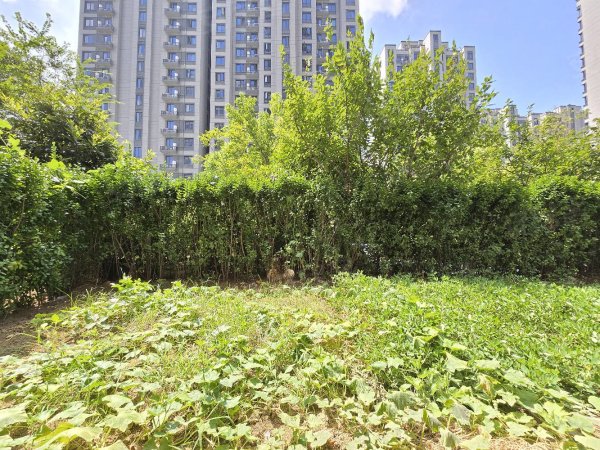 锦绣首玺上下三层_私家庭院_直通车库_横厅_可月付