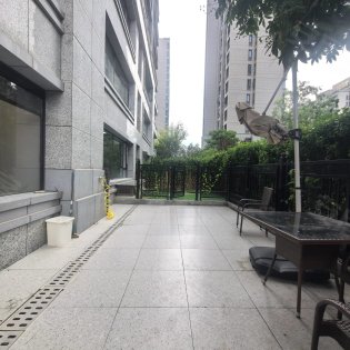 省府一楼横厅大院子！院子硬化已做好可养宠物种花草_地下可办工