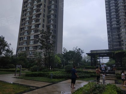 鑫苑名家人口_人口普查