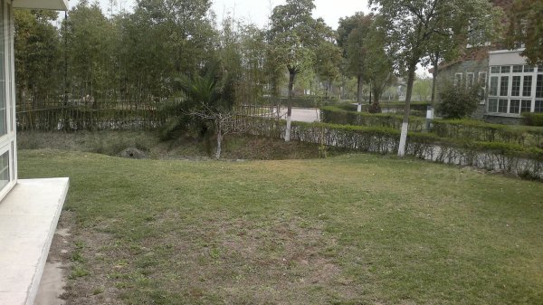 棕榈滩别墅_棕榈滩别墅销售收入