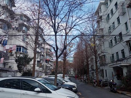 呼玛五村169号