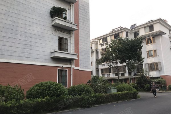 东泾村人口_漕泾镇水库村照片