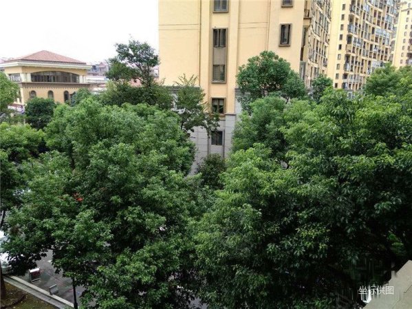 【多图】坐标急售保集蓝郡方正户型,91平南北