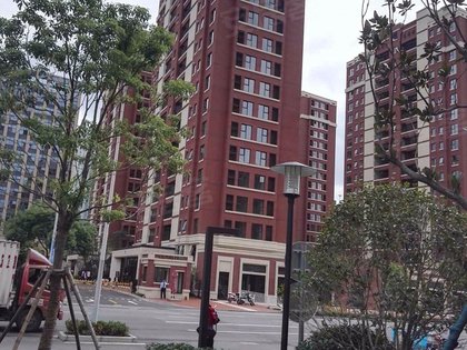 上海小区 松江小区 泗泾小区 金地褐石苑 金地褐石苑怎么样