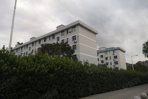 东泾村人口_漕泾镇水库村照片