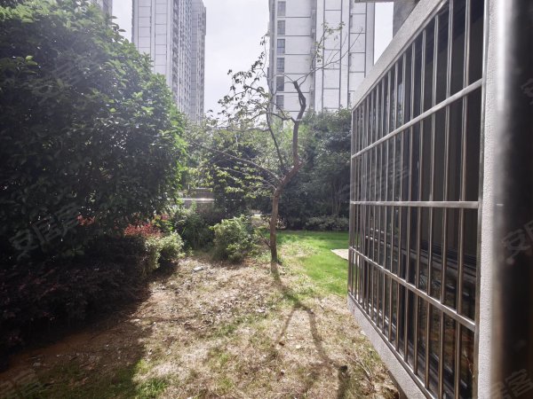 一楼光明之家一楼出租_近簧街_安中医_安城管附近一楼出租