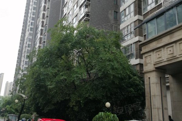 居住人口密_流动人口居住证明图片(2)