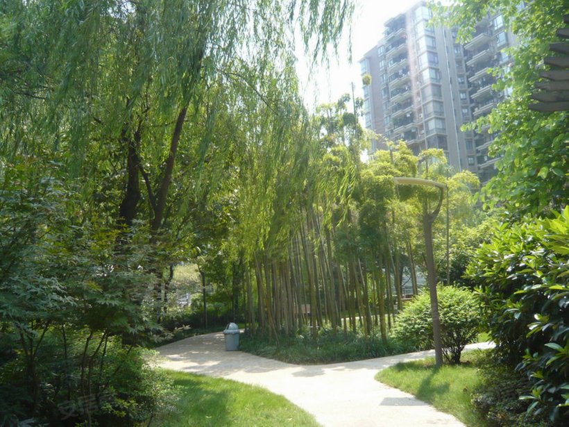 重庆 骏逸江南小区照片