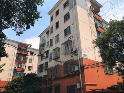 真光新村人口_恶狼游戏新村洸图片(2)