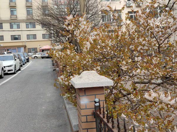 延吉路敦化路地铁口阜外医院万达卓越中铁中央商务区