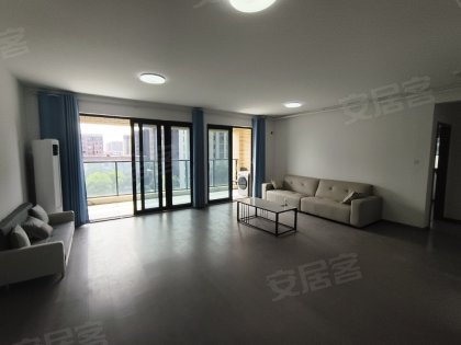 长鑫存储旁好房！手慢无！佩顿存储。新桥电子产业园。蔚来汽车旁