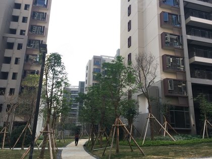 色男男影院