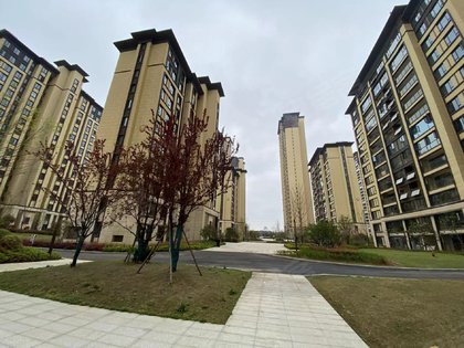 光谷澎湃城奥山府