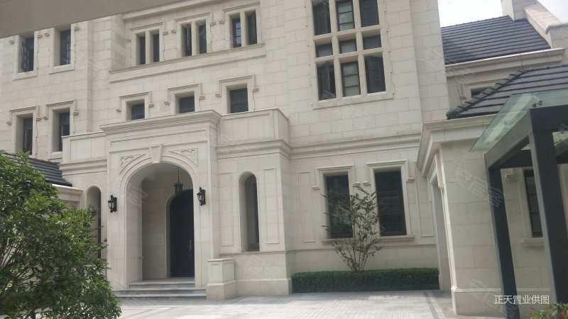 中原八大家 临湖独栋别墅 1200平院子带私家码头送游艇豪车