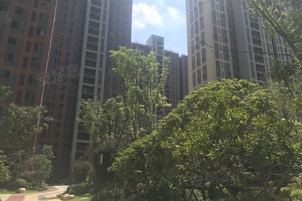 天汇龙城短剧，繁华都市的微小故事，繁华都市的微小故事，天汇龙城短剧