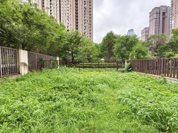 私人80平大院子_一楼底复通车库可当仓库_住家办公可自带家具