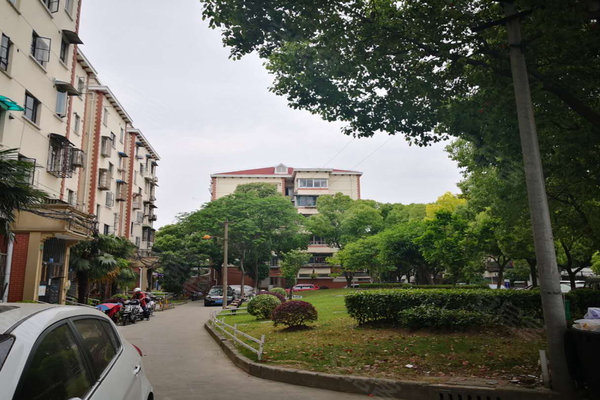 真光新村人口_恶狼游戏新村洸图片(3)