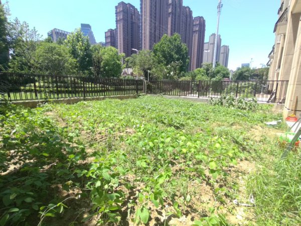 金茂悦一楼底复带私人大院子_可种菜养花_精装4房中央空调地暖