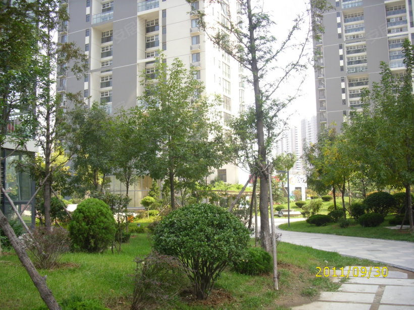 青建橄榄城