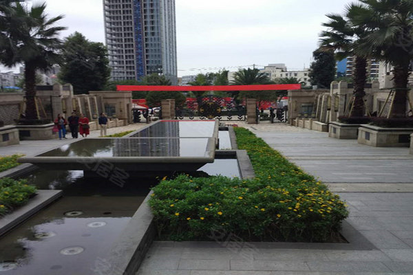 戛纳湾金棕榈