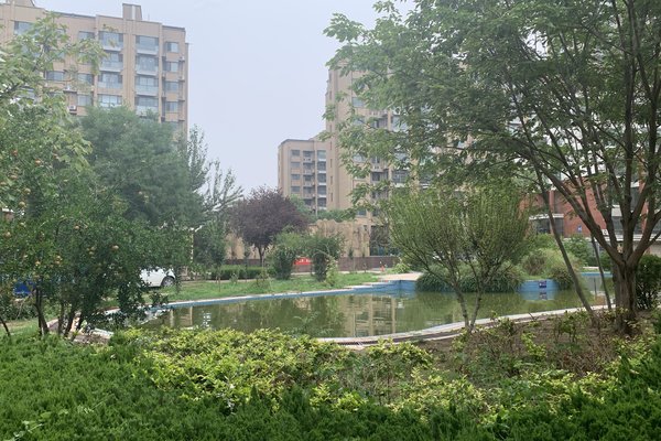 德州小学排名_德州一村小学(3)