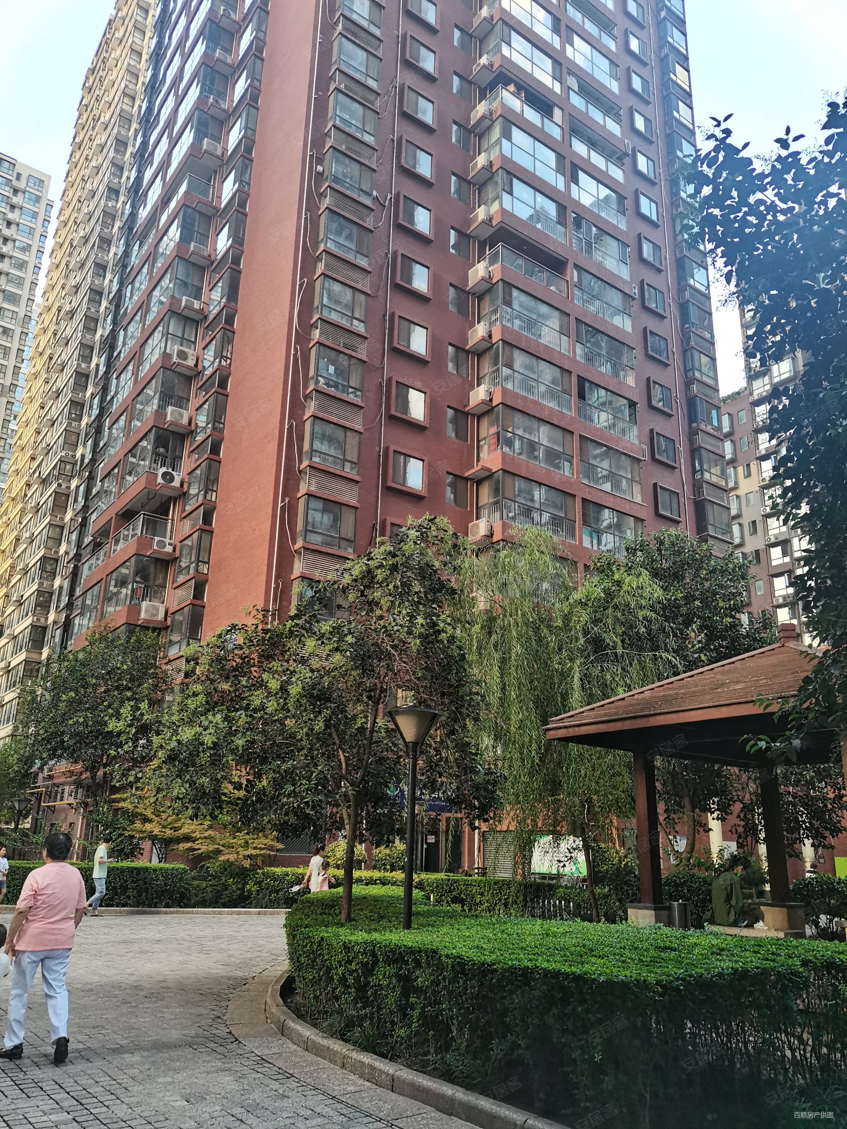 翡翠明珠