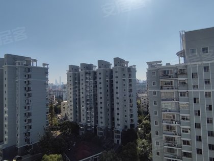 绿色丽园667弄