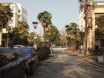 杭州小区排名_杭州拱苑小区内部(3)